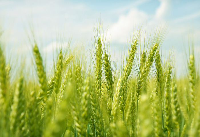 Мы специализируемся на исследованиях и производстве индивидуальных производственных линий, отвечающих реальным потребностям клиентов.